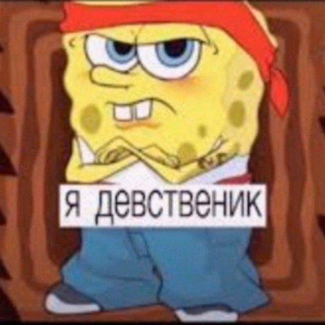3943351c1edfd6611e6570d8f9b234bb.avif