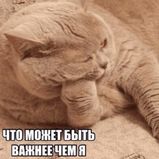 3948715c37cc09ba33f9af7efeed9891.avif