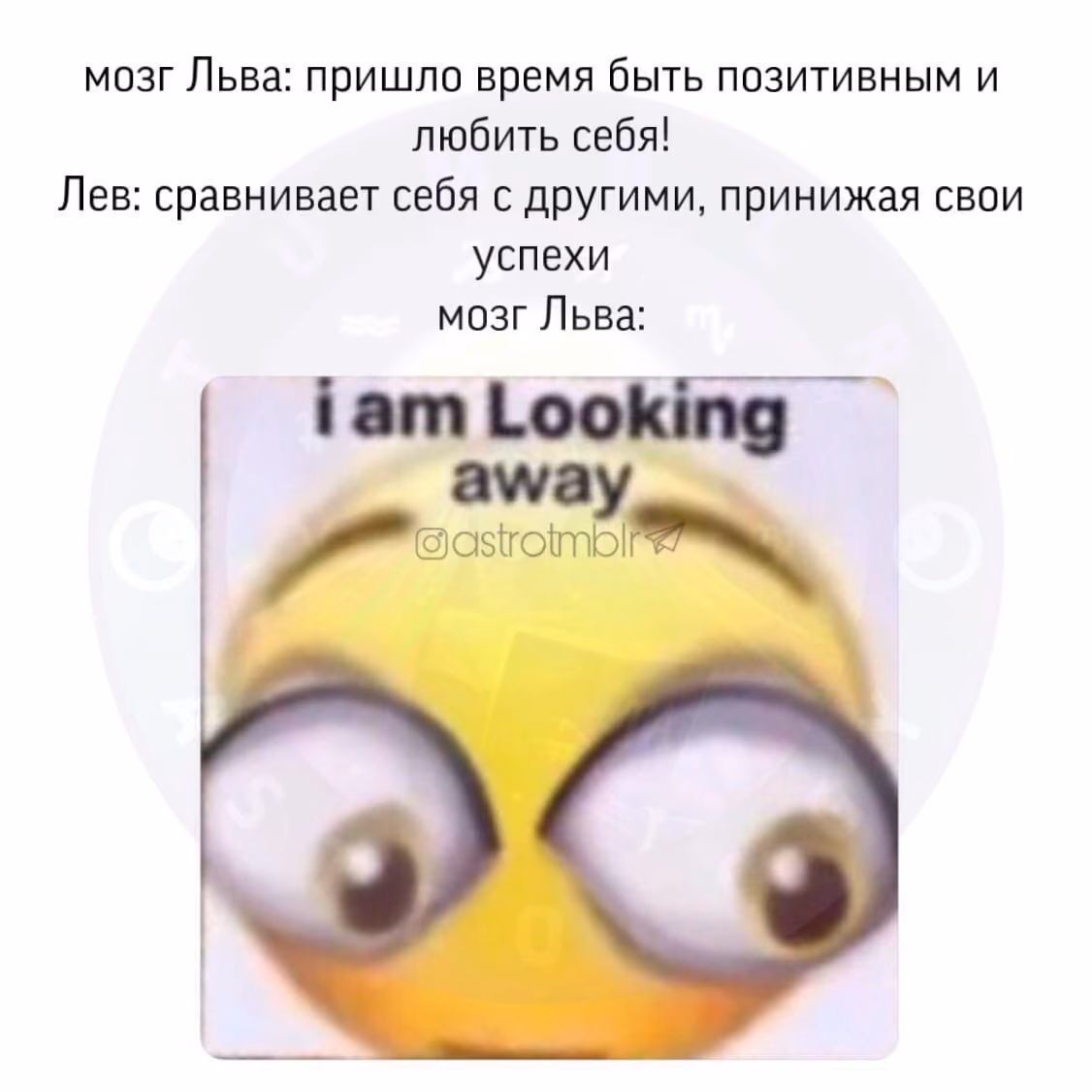 394874123200d8e42599da7979d39ae1.avif