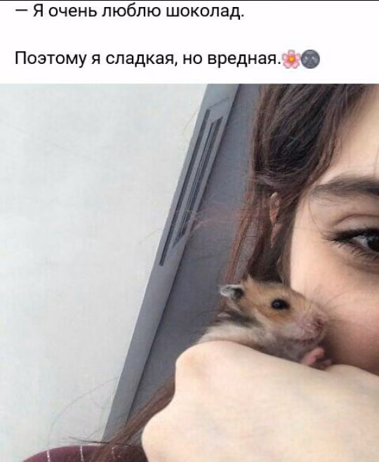 395cd02d312edd847cbfb54e7ca6dffe.jpg