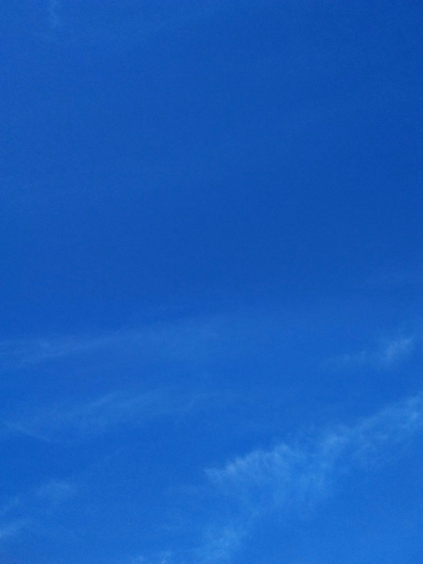 397720b0936315daac08cf28710607b8.jpg