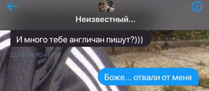39828477141ececa0f73b5412ddf6d4b.avif