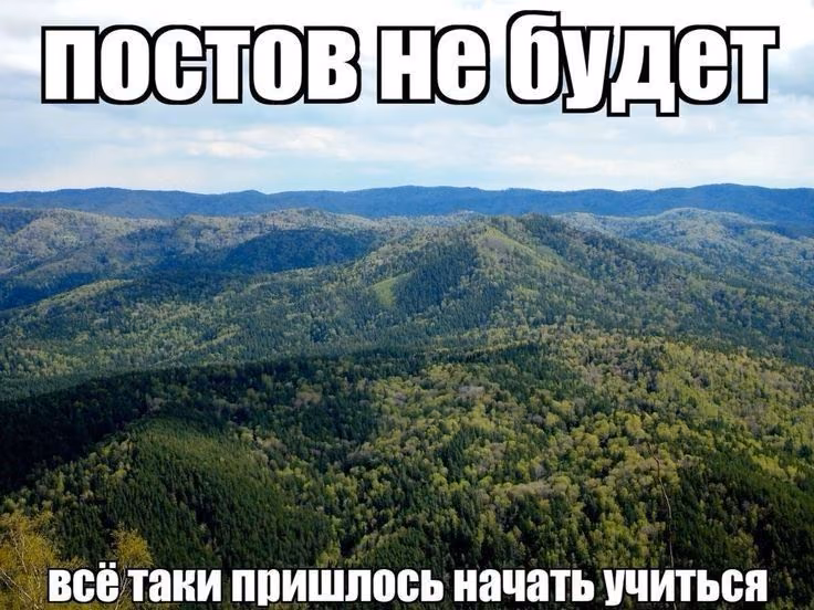 398501c363899d6548afccced29e2ff8.avif