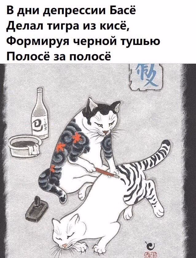 39879c5254f1ee3dce0f2734e6348f55.avif