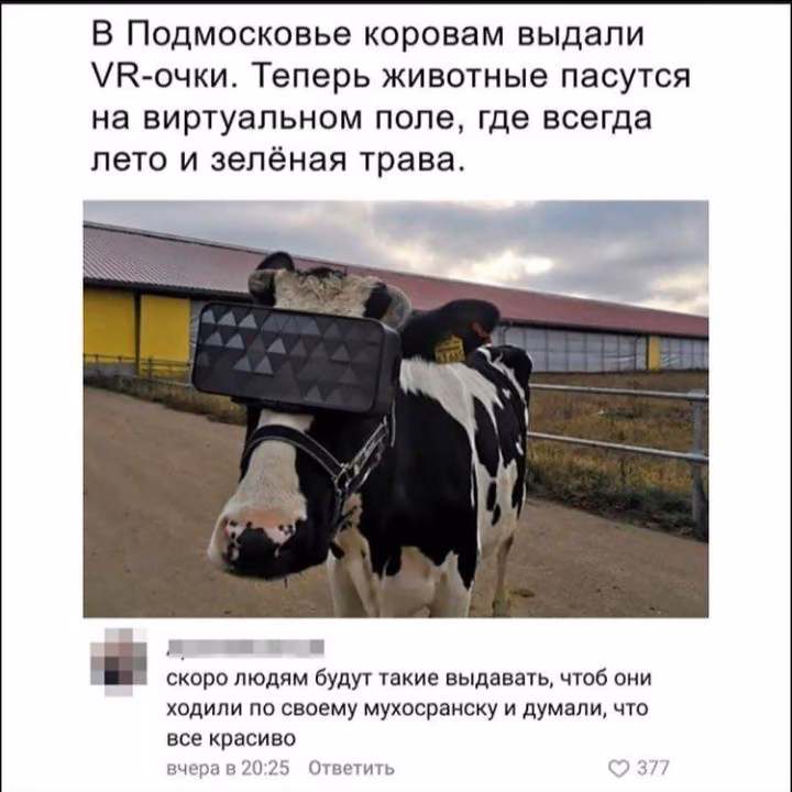 399705bed4c62ff6f7c82bf097ef1358.avif