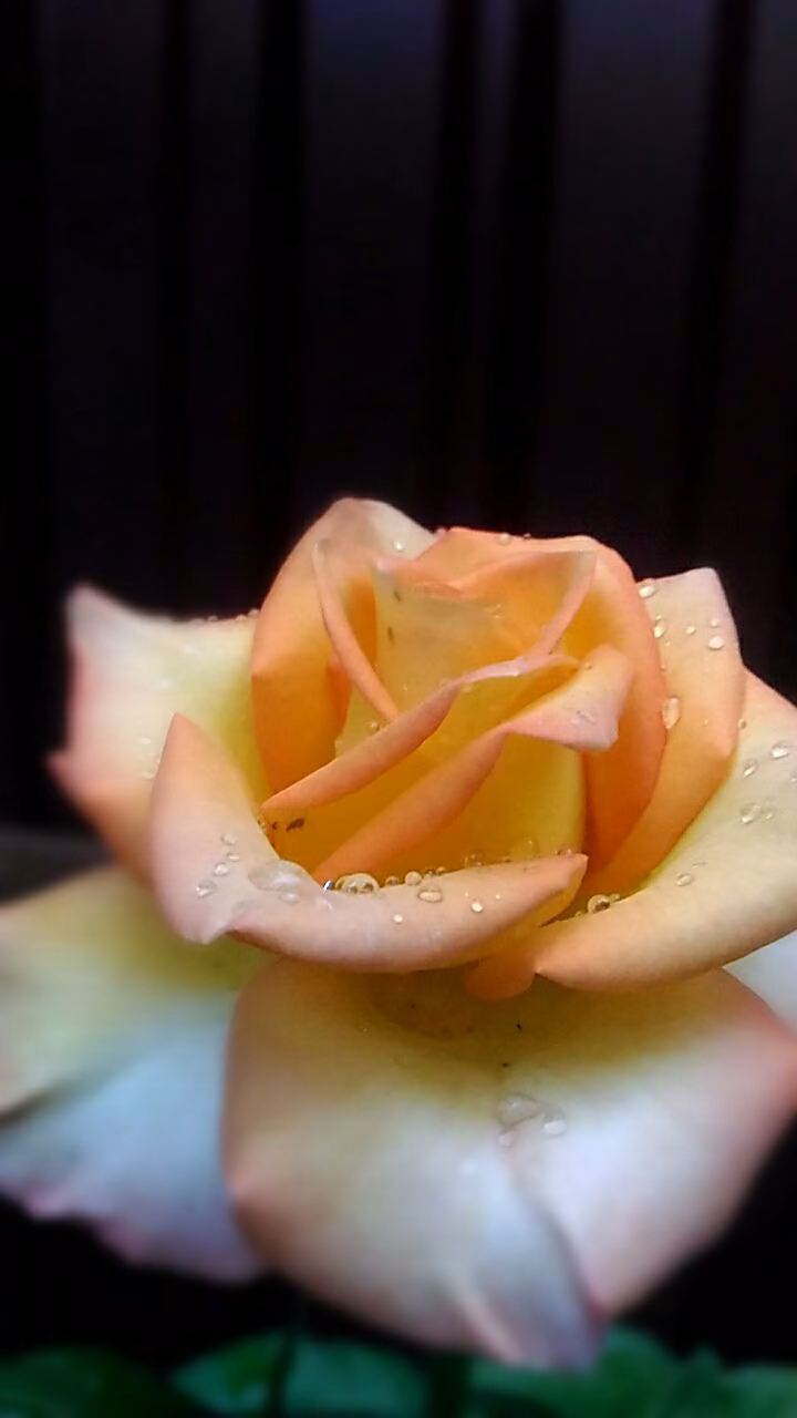 39a1a5a7fb13274af8daece6c93f4c3d.jpg