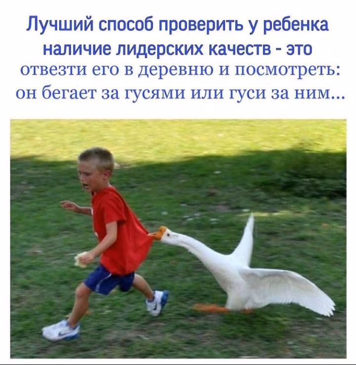 39a7010f54e78e7e3b450caaa0cd6839.avif
