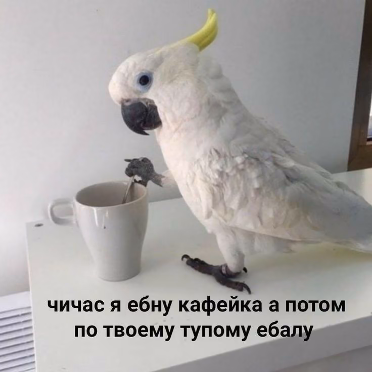 39bace7fdced5dc973eef3fa972e8171.jpg