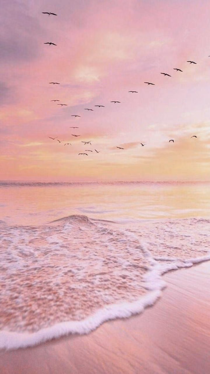 39c134792470e16dee71536d84fcb3a3.avif