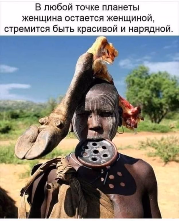 39e81f6eb43e587259779297773652f4.avif