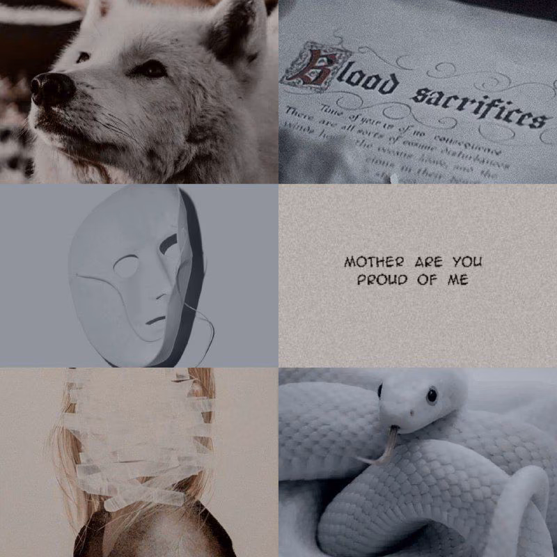 39e8756671b488e01686adf4b525c472.avif