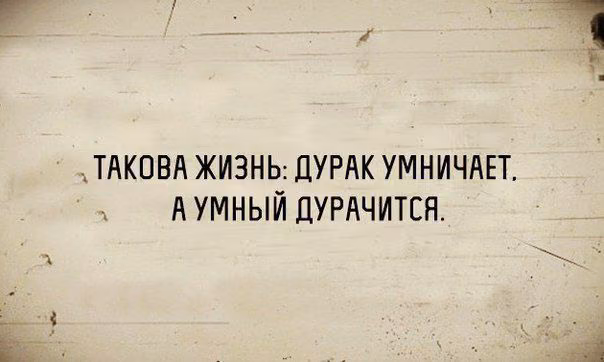 39f25e38b31df3857b18c486762beb6e.jpg