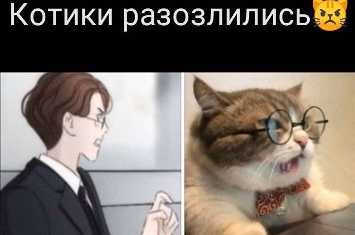 39fe72f1580bcbb238d4c86fbf1d2682.avif