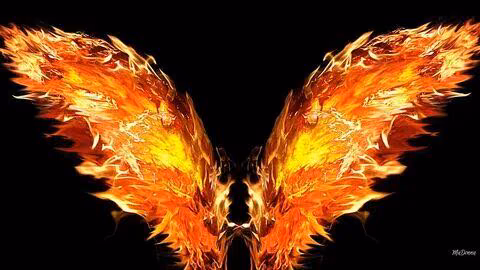 3a0c3711741355a7a6dbd767462edf4b.avif