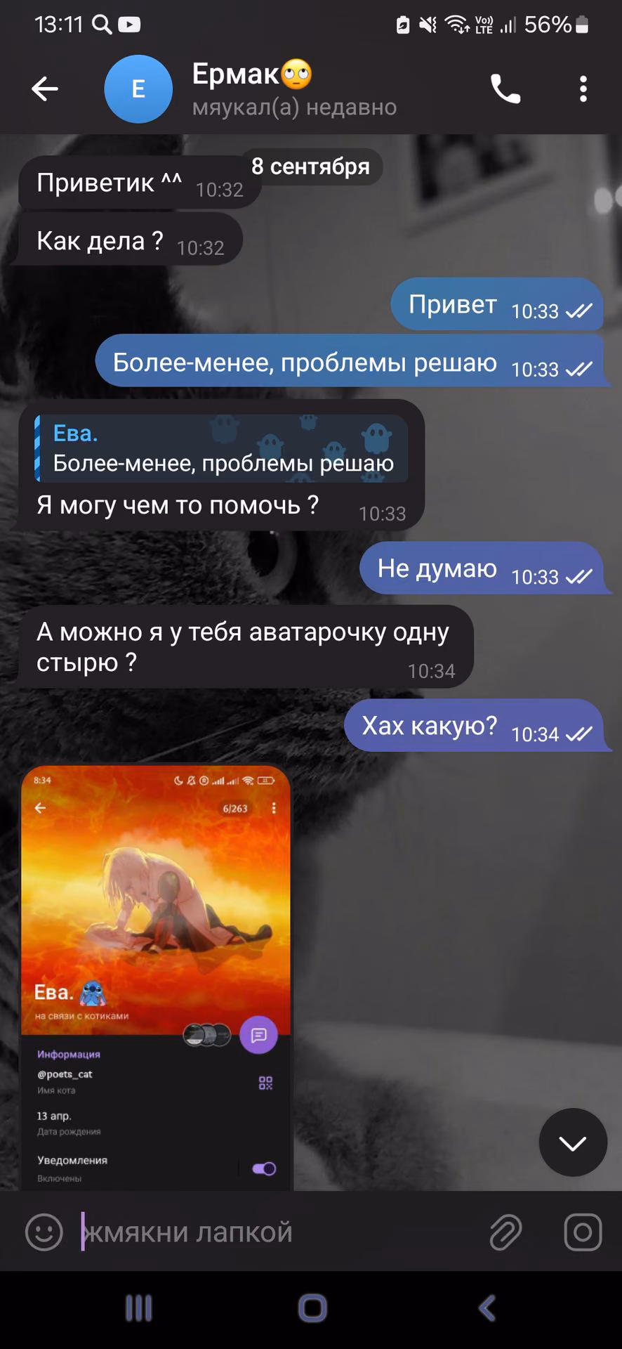 3a2c90fe470e8b94580dfff4e0686a77.jpg