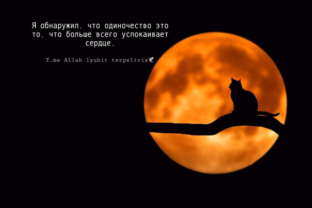 3a3390cc570989254bf8c2288cc1368a.jpg
