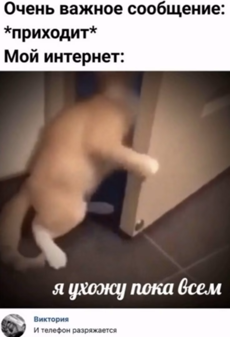 3a40716cc23bffbd47354c93f1b59c33.jpg