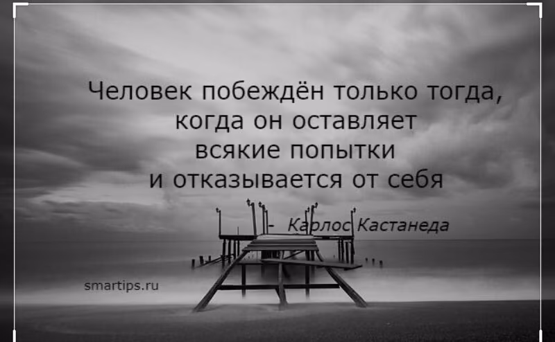 3a42880725b7832bfe2bd3955567cd5e.jpg