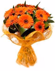 3a45a0a02f63bf1acd4175fe90c29b10.avif