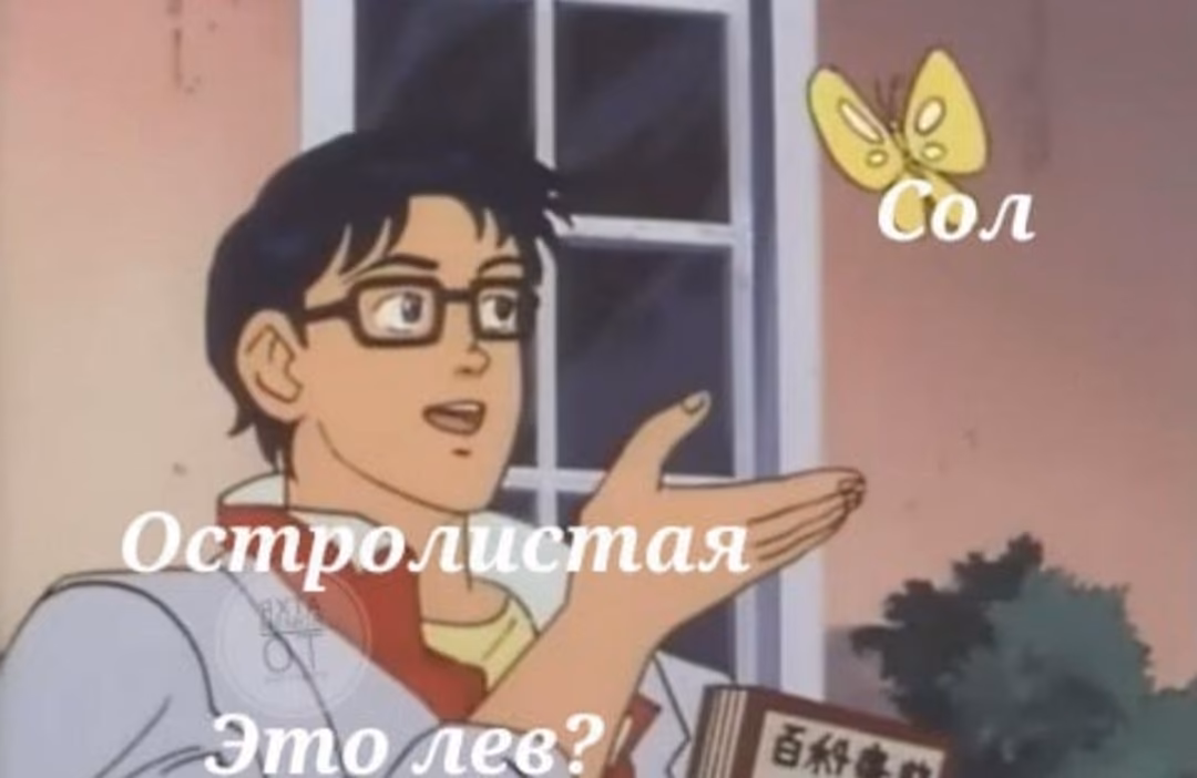 3a615e88e41a0accbcb508d2f5843caa.avif