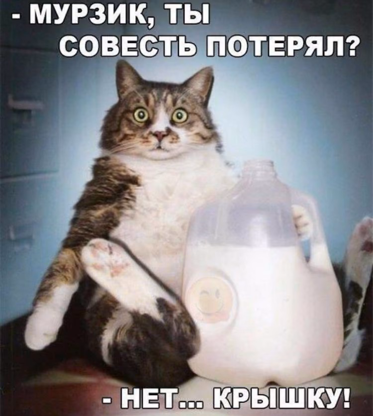 3a6aeefc1a8136f9fbb8a7e88463ff48.jpg