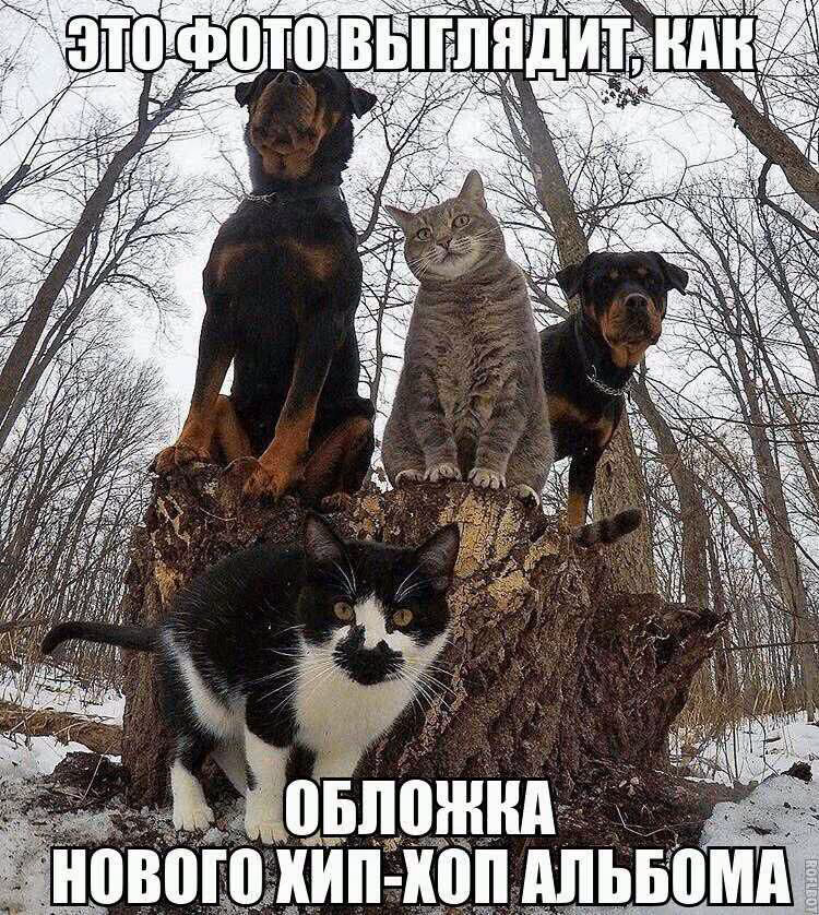 3a6dbf65b0a7dbd5798ca865468feb52.avif