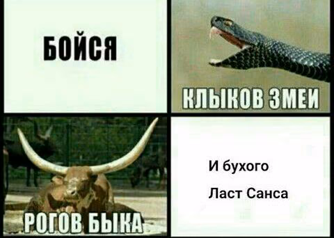 3a7abf4b672fe9e56ef5f3c33b5a949b.jpg