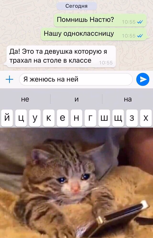 3a7b776de673c280eb120a4b82e440e5.jpg