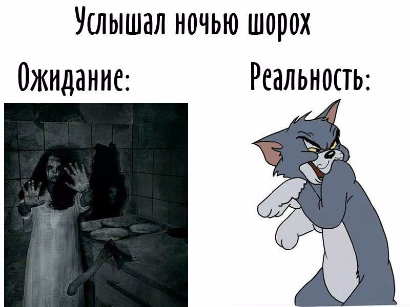 3a8bdb056f8677f96ea6d387df2177d3.jpg