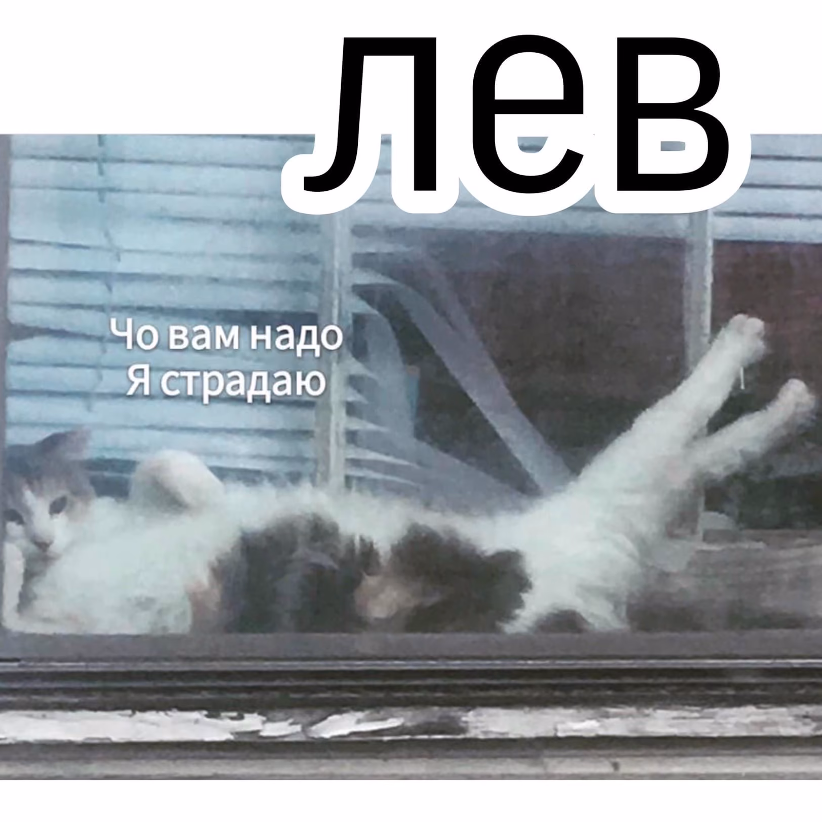 3a8c103451cae5ca086741cd26d044d7.avif
