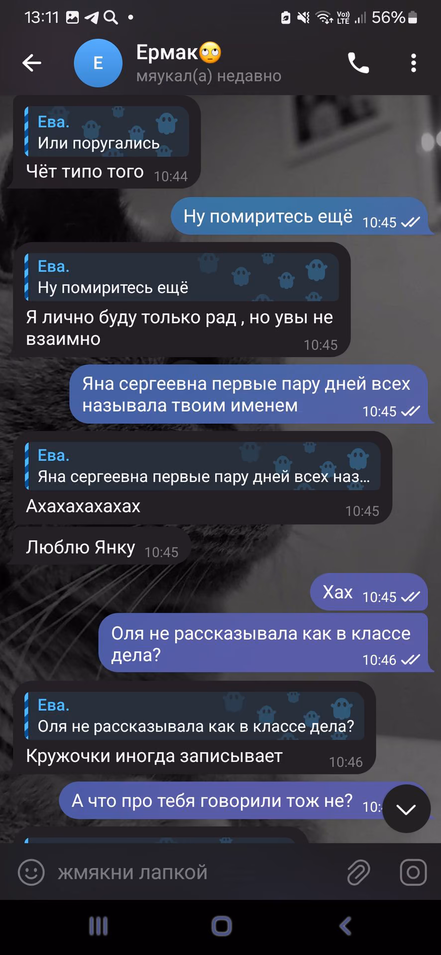 3a9509f62c15e9946ce54dff01eb0a61.jpg