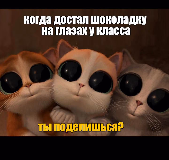 3aa17fa37ac92bf98ee081c1e092b20e.jpg