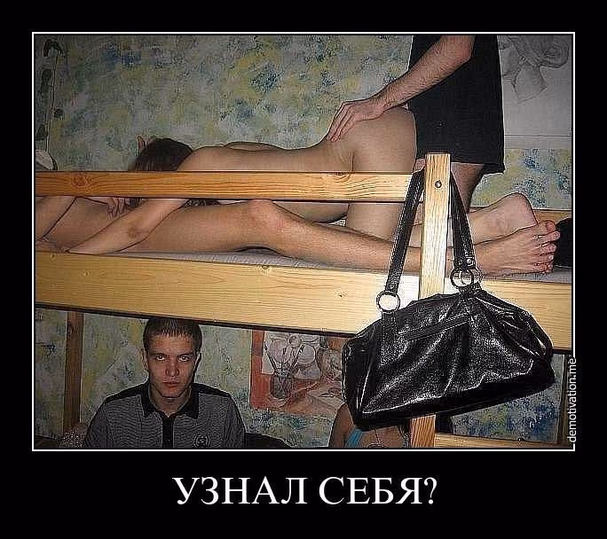 3aa6fff4fbf485947ddd0ceb5b6b7205.jpg