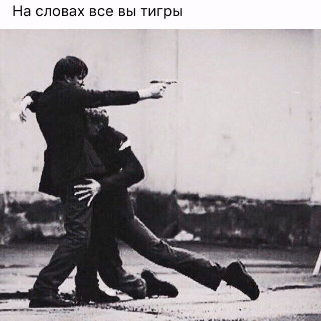 3abd07a2c41a9b1764edfef70cd2a1ba.avif