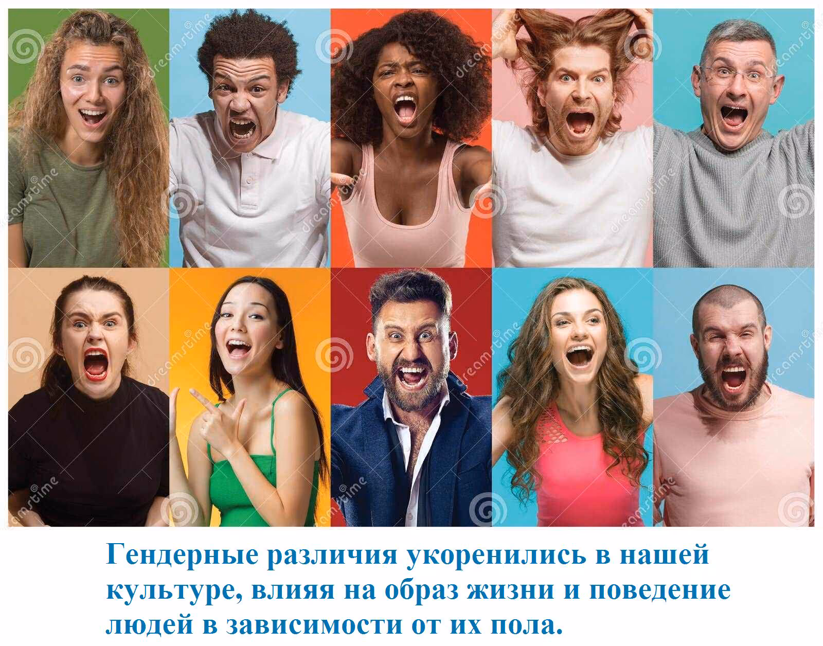 3ad8385e01645a3389e7cd0d785e27bd.avif