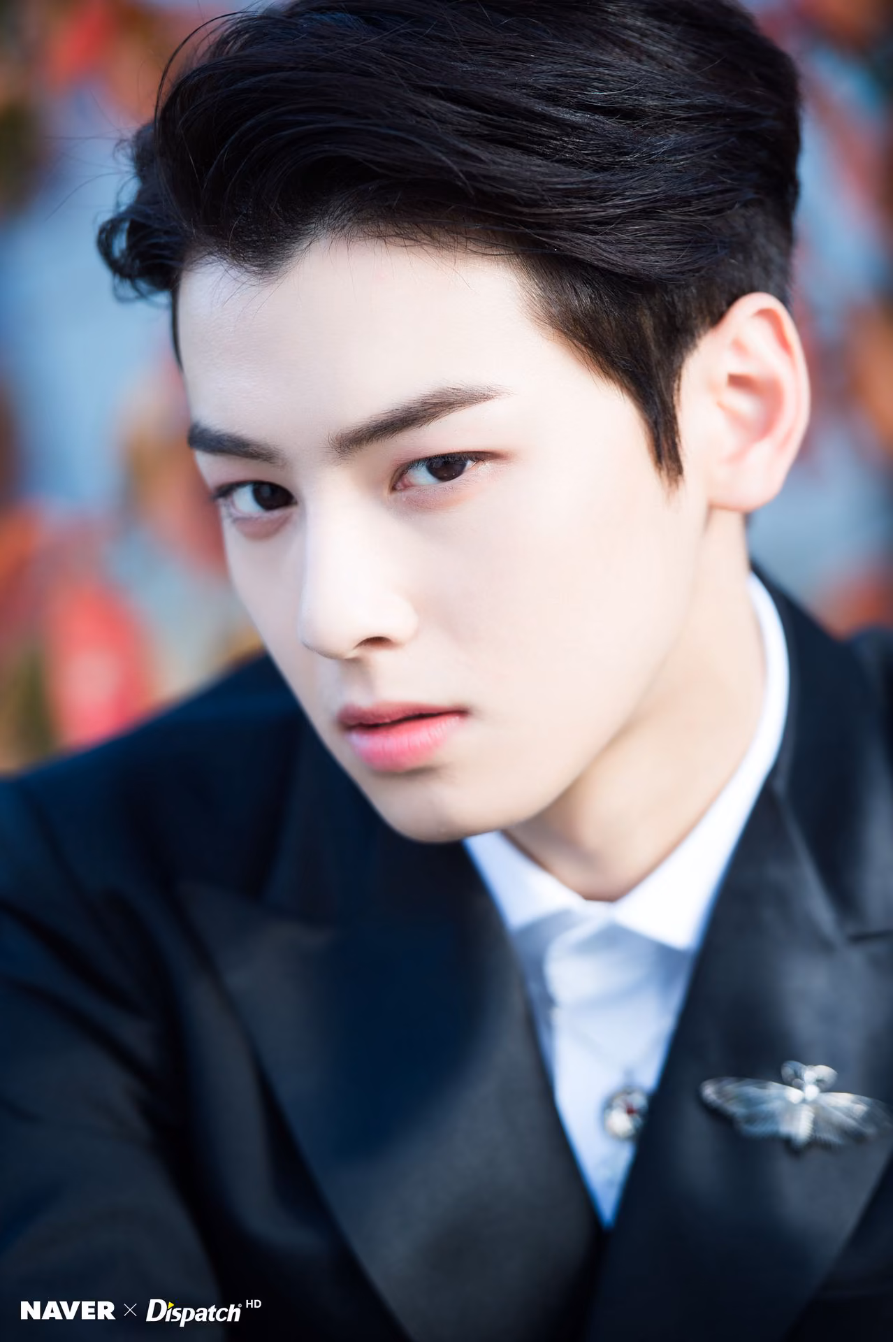 3addfaacab0474142188606a2819561a.avif
