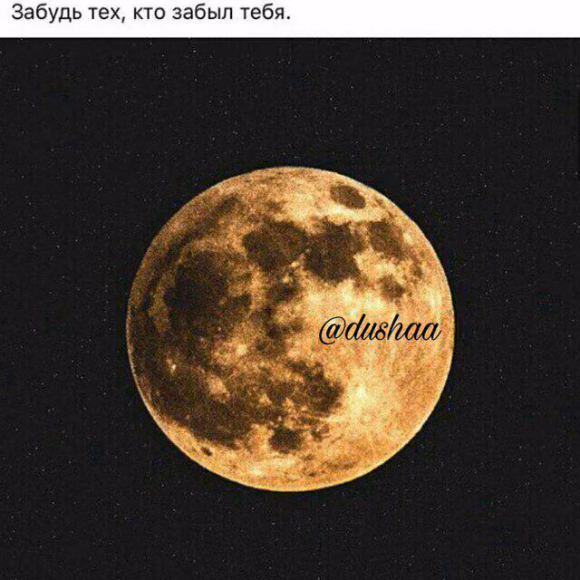 3ae925ee9c85697a7d9c050482cbf4e9.jpg