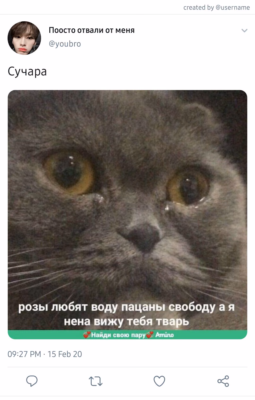 3b0ecbc67983c68920bd93247c78c1c1.jpg