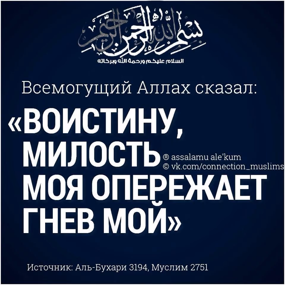 3b44561cb7f0fc9d8ce1fd958b4ef7ed.avif