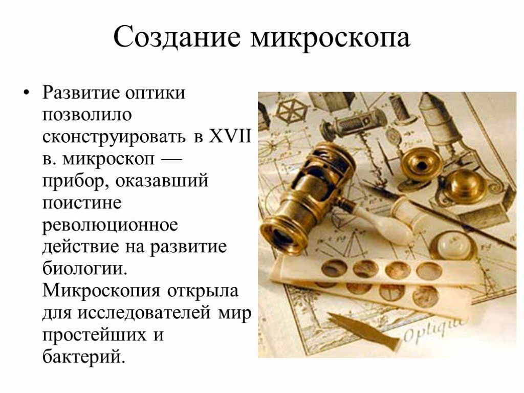3b56dc27166533407d3adf03716ae112.avif