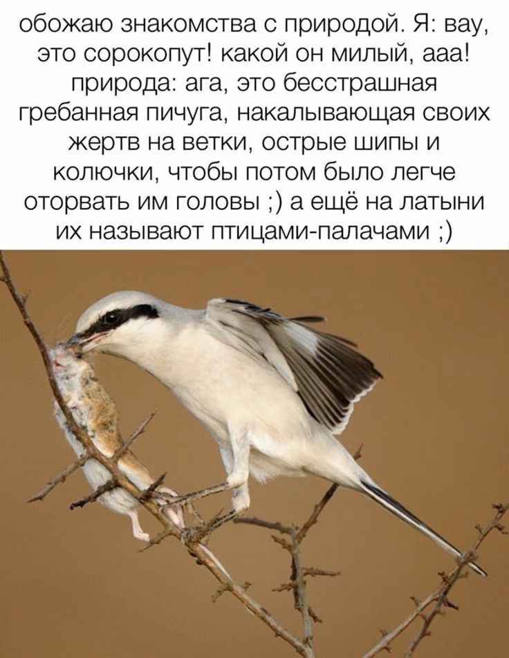 3b5cc8b4e3354a4e30d0fc4c1e662311.avif