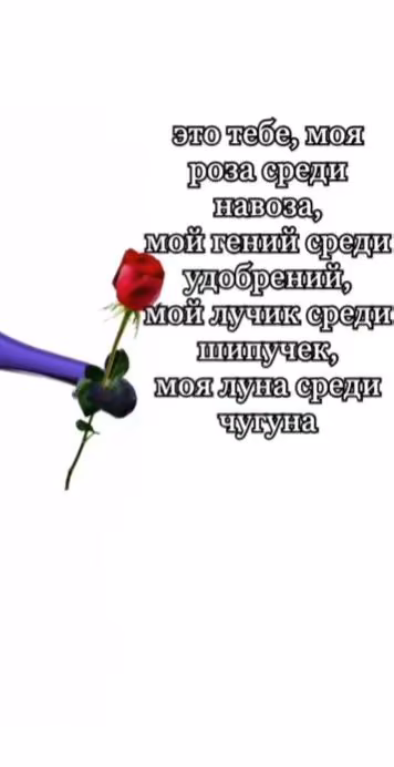 3b63d0baa92cfb7ac18cf11be9f634a9.avif