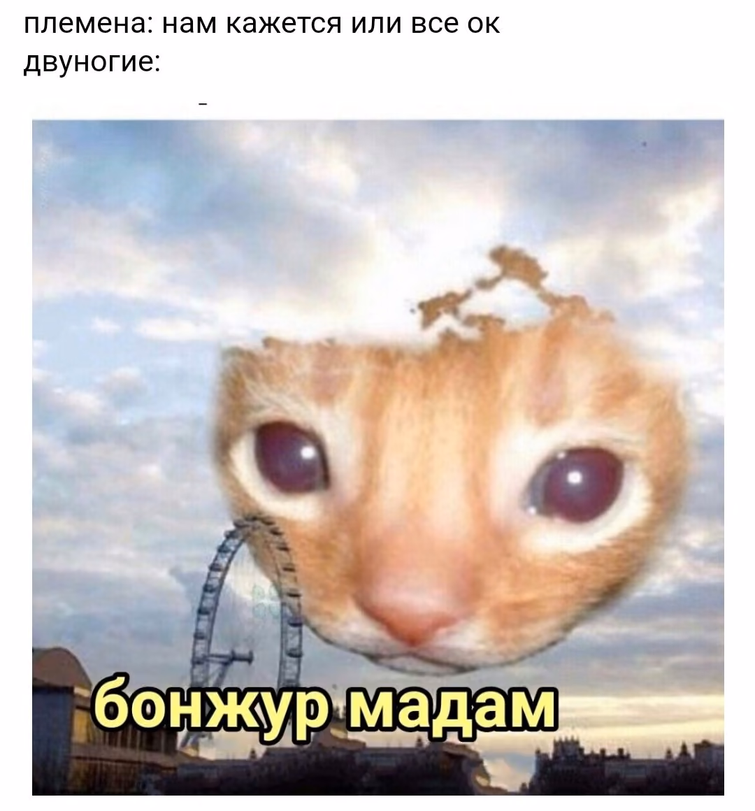 3b710dde3cc75d6d651ab3a83cf2be1f.avif
