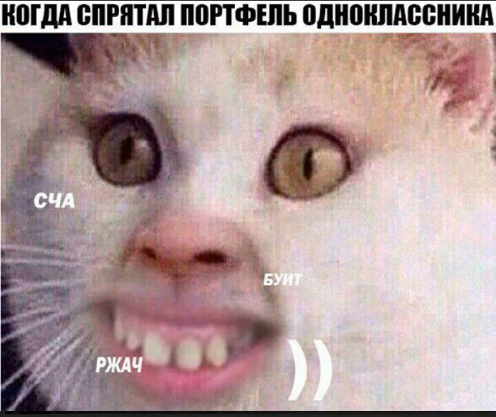 3b77f6bc3d8c4cac6c762a8842150dce.avif