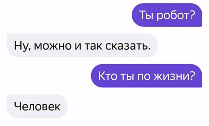 3b77f9037d2783a13f87cbd0969746e7.avif