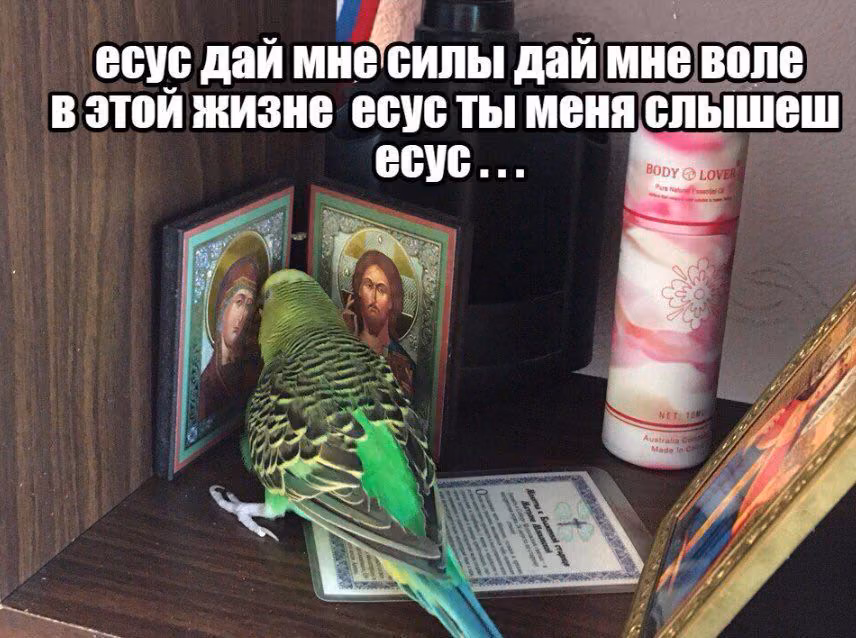 3ba5d0695c1f78a3b4f6eac45b8105de.jpg