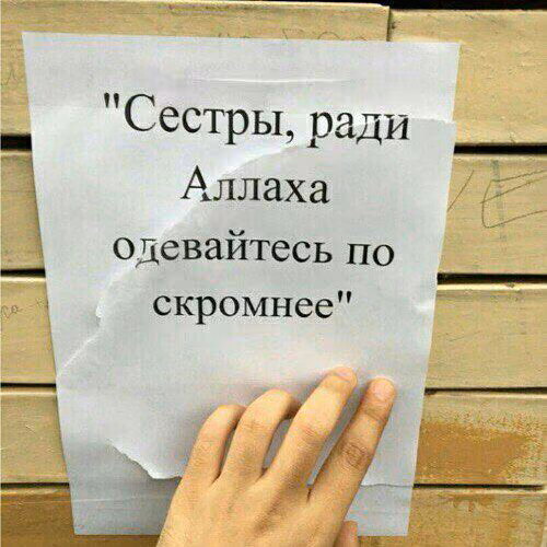 3bb3eb2ede680eacdb6b3cae974ebc94.avif