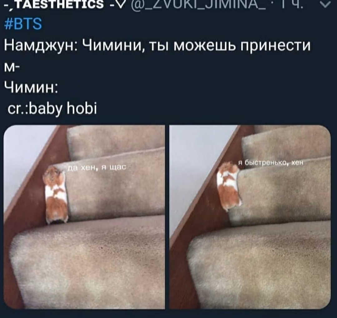 3bb557c442c1f5bd848fec7764c61d4d.avif