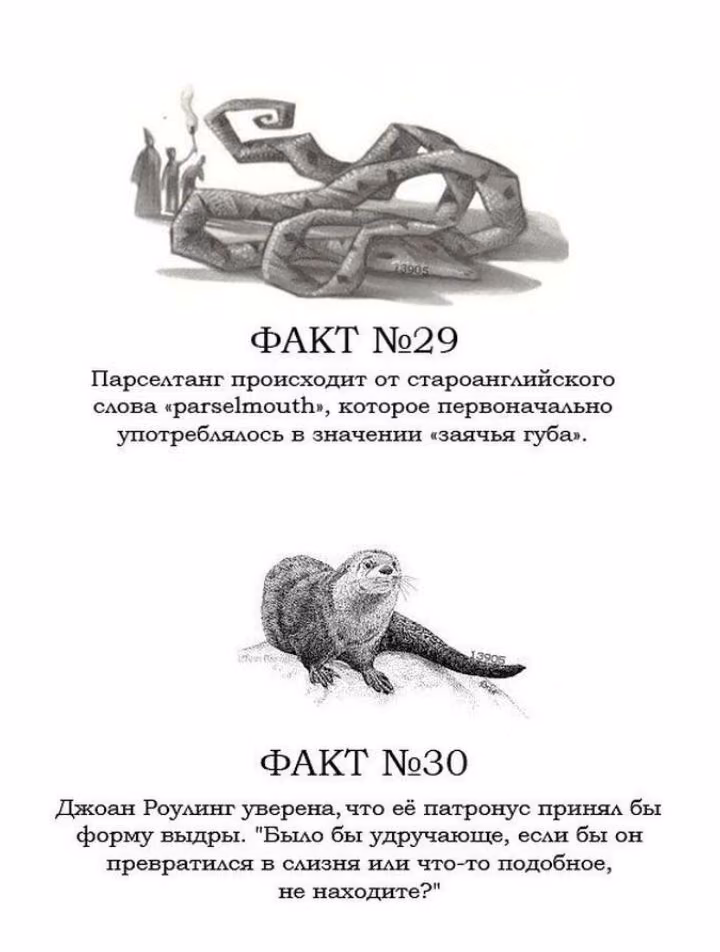 3bb64a34a9523c97473455d2c8db781b.avif