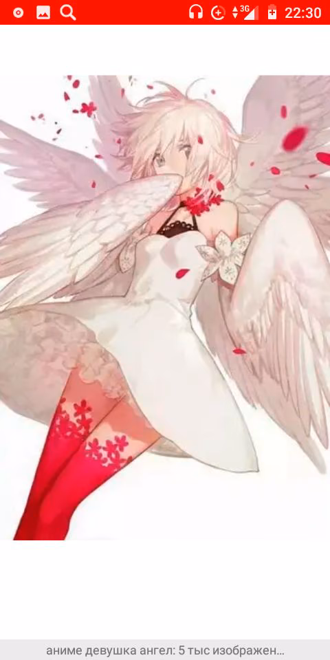 3c06c9cc3fdd3da61848defc5b79d3d8.avif